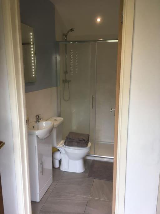 Cabin Pren , Darowen , Machynlleth Apartment Екстериор снимка