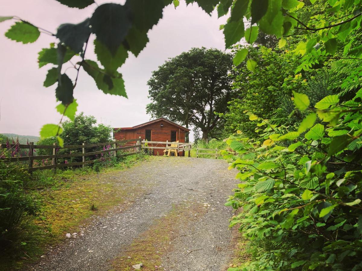 Cabin Pren , Darowen , Machynlleth Apartment Екстериор снимка